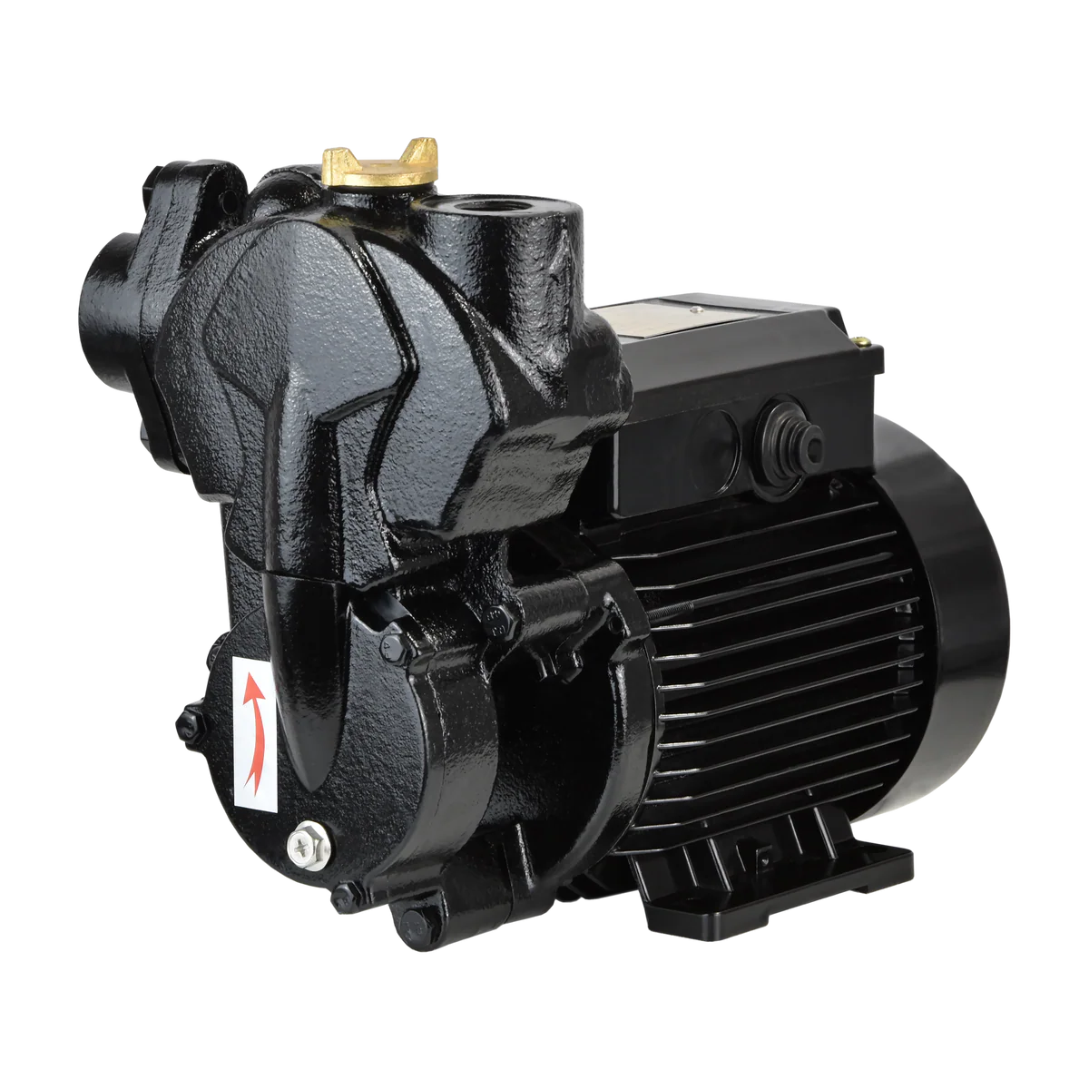 Pramoninis cirkuliacinis siurblys IBO IPML 25-125